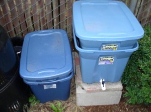 Simple vermicomposting bin, you can make one from a regular bucket